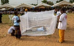 Paludisme, la Côte d'Ivoire affiche 125 décès en 2025, contre 1 534 en 2022