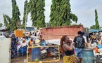 Déguerpissements à Abidjan : Steve Beko (PPA-CI) réagit "Avant de détruire, il faut reloger"