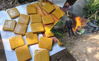 Trafic de drogue à Yopougon et Abobo : un fumoir détruit, 1,5 tonne de MQIF saisie