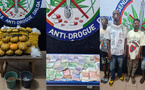Saisie de drogue et quatre arrestations à Gbokora, Daloa