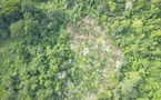 Forêt de Yapo-Abbé : l'État de Côte d'Ivoire reprend 6 532 hectares de la forêt classée en neuf jours
