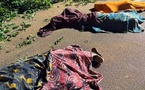 Drame à Bouaké : trois morts dans la chute d'un arbre géant à Nimbo