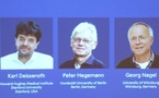 Prix Nobel de médecine 2026 : Deisseroth, Hegemann et Nagel récompensés pour leurs travaux sur l’optogénétique
