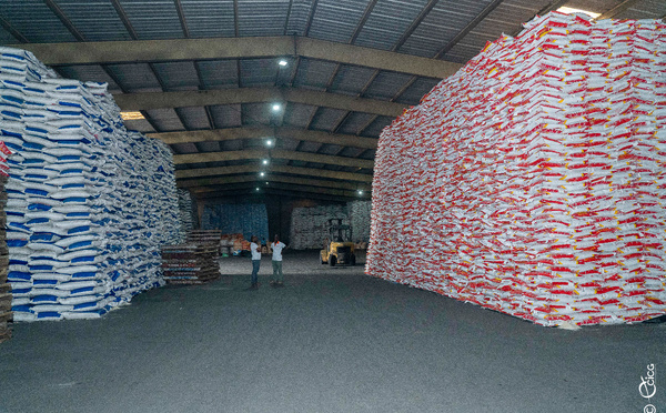 Riz en Côte d'Ivoire, le gouvernement ratifie un accord de 104,2 millions d'euros avec la BID