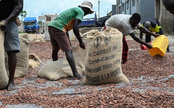 Cacao : l'État ivoirien maintient ses mesures de stabilisation