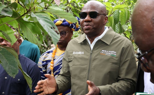 Cacao sans déforestation en Côte d'Ivoire : le projet PROMIRE affiche ses résultats à Adzopé