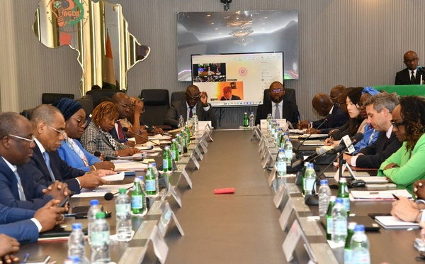 Croissance à 6,6 %, le FMI évalue les résultats économiques de la Côte d'Ivoire