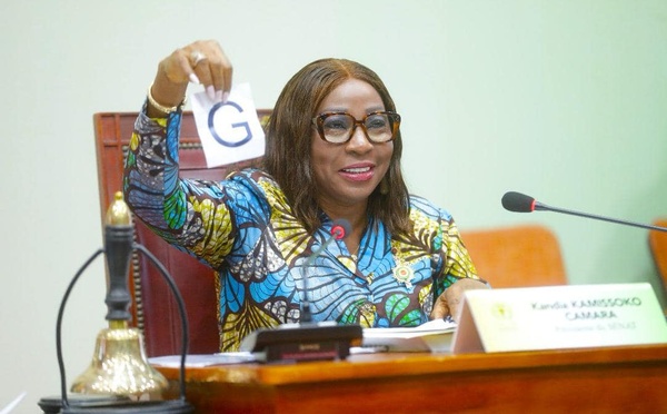 Le Sénat examine deux projets de loi sur la protection sociale en Côte d'Ivoire ce lundi