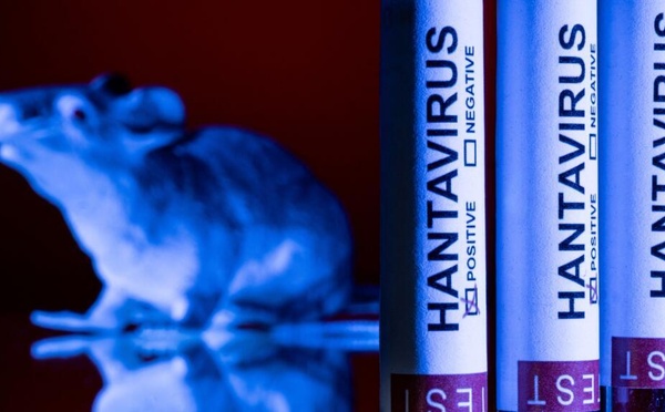 Hantavirus, la Côte d'Ivoire prend des mesures : Ce que recommande le ministère de la santé