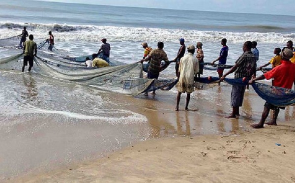 Élevage et pêche - La Côte d'Ivoire vise la souveraineté alimentaire en 2030