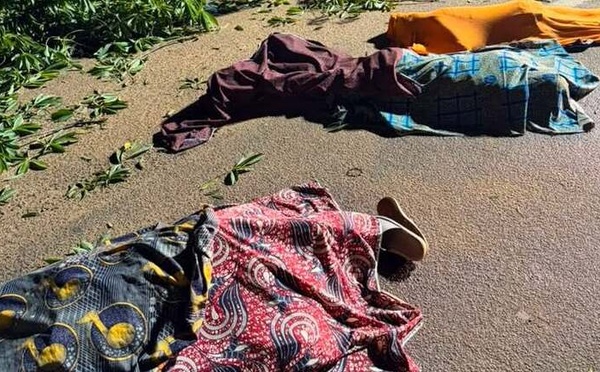 Drame à Bouaké : trois morts dans la chute d'un arbre géant à Nimbo