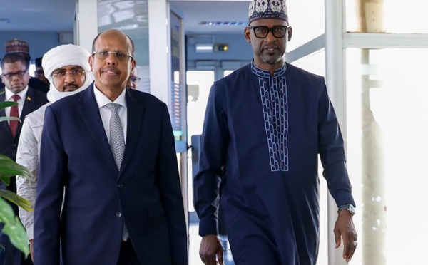 Visite de l'Union africaine au Mali : Mahmoud Ali Youssouf à Bamako