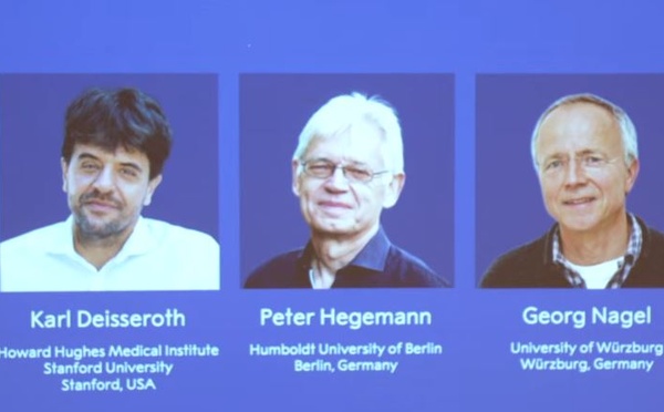 Prix Nobel de médecine 2026 : Deisseroth, Hegemann et Nagel récompensés pour leurs travaux sur l’optogénétique