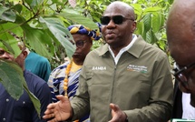 Cacao sans déforestation en Côte d'Ivoire : le projet PROMIRE affiche ses résultats à Adzopé