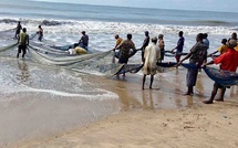 Élevage et pêche - La Côte d'Ivoire vise la souveraineté alimentaire en 2030