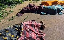 Drame à Bouaké : trois morts dans la chute d'un arbre géant à Nimbo